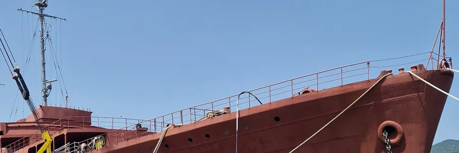 Working group members by the former Yugoslav state ship Galeb, in Croatia