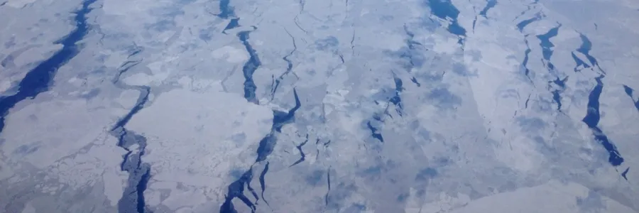 Labrador sea ice