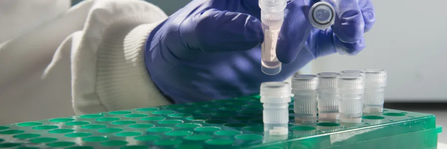 gloved hand pipetting into an Eppendorf tube
