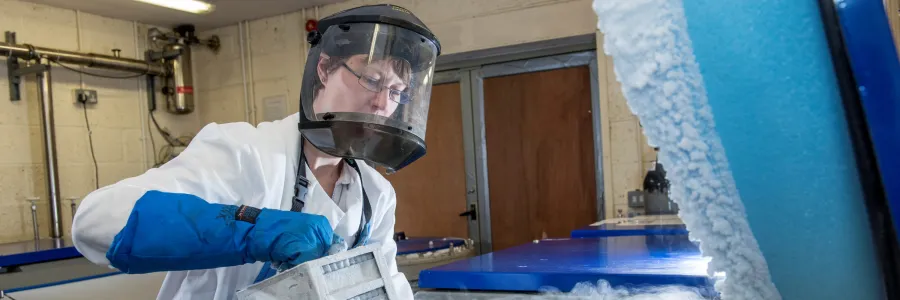 Sarah Buchan wears safety gear pulling a rack from a freezer in a lab with liquid nitrogen vapor rising.