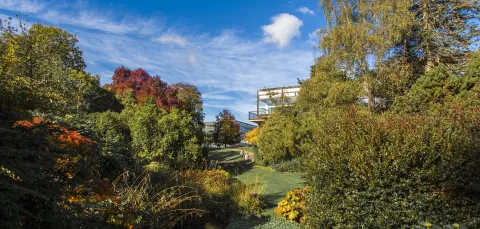 Wide view of Highfield Campus with autumn colours.