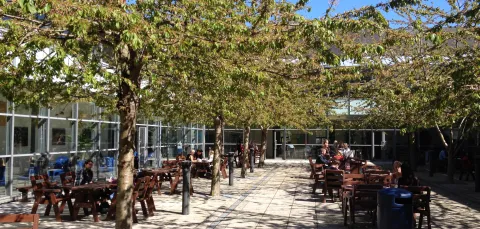 Avenue outdoor courtyard on a sunny spring day with cafe tables.