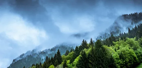 Climate change representation