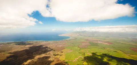 Aerial view of cloud shadows on green landscape