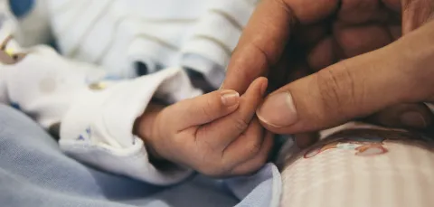 An adult hand gently clasps the hand of a small child