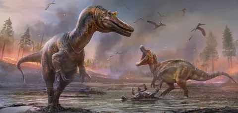 An artist's impression of two bipedal carnivorous dinosaurs fighting over a successful hunt.