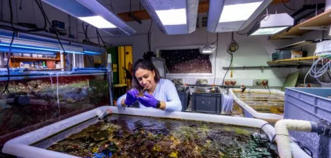 Masters student Christina Accad smiles as she volunteers at the National Oceanography Centre's research aquarium