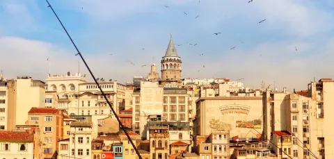Istanbul skyline, including the famous Galata Tower, with birds soaring above