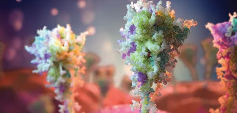 Digitally rendered image of SARS-CoV-2 viral spikes induced by the Oxford AstraZeneca vaccine