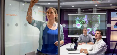 Interdisciplinary researchers working together in the field of Maths and Medicine