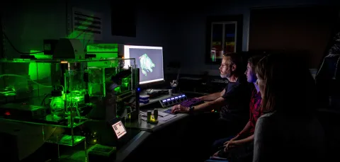 A group os scientists pour over the results of a confocal lightsheet microscopy image