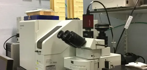 Olympus slide scanner