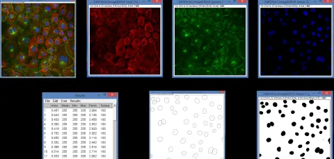 a conceptualization of the process of image analysis