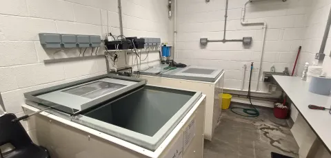 Boldrewood fish holding facility