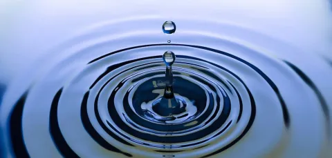 Water droplets and ripple