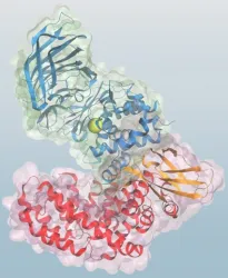3D molecular visualization of a protein structure with secondary elements in blue, green, red, and orange, surrounded by a semi-transparent surface representation.