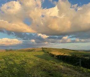 A billowing cloud rolls over a grassy field in the evening sun,