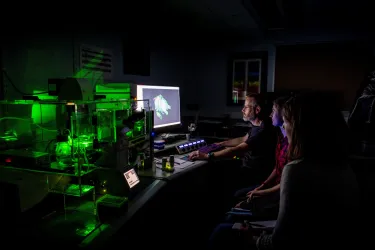 A group os scientists pour over the results of a confocal lightsheet microscopy image