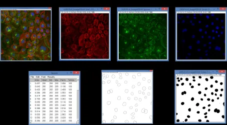a conceptualization of the process of image analysis