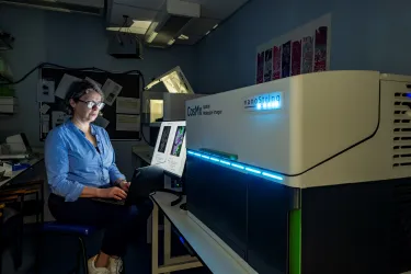 Patricia Goggin uses a high tech imaging device.