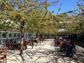 Avenue outdoor courtyard on a sunny spring day with cafe tables.