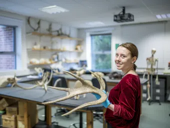 Student holding large antler bone in the Bioarchaeology bones lab. 