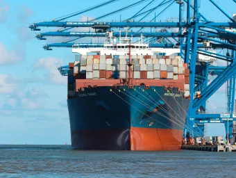 A heavily laden cargo ship sits under cranes by the dockside
