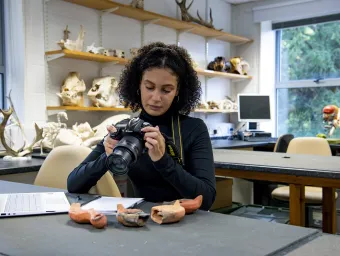 Archaeology student recording roman oil lamps in the lab