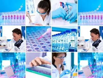 Collage of six photos highlighting various activities within a laboratory setting, including scientists using pipettes, examining samples under a microscope, and handling laboratory bottles and multiwell plates