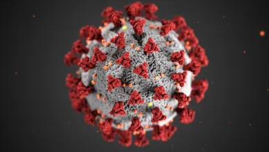 A simulated close-up image of the COVID-19 coronavirus.