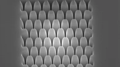 Focused ion beam image