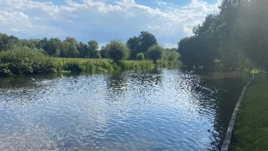 A tranquil scene of a waterway bordered by grass and trees under a blue sky with clouds.