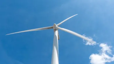 A wind farm shot from the ground