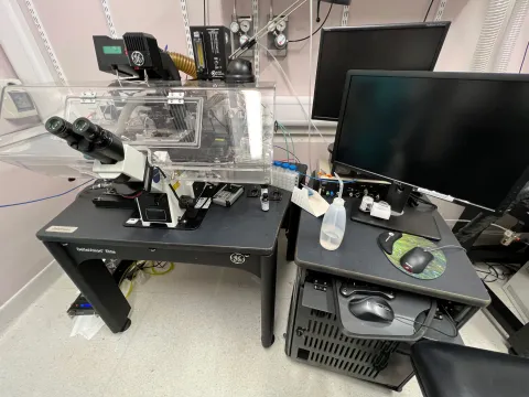 Deltavision Elite live imaging system