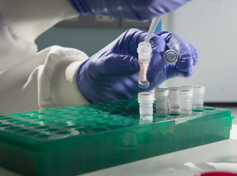 gloved hand pipetting into an Eppendorf tube
