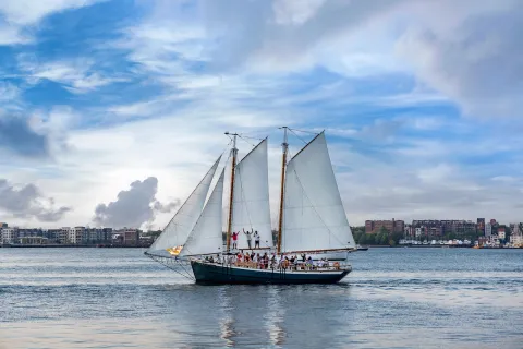 A sailing boat in the waters