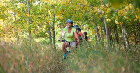 Group of cyclists riding along a narrow trail through a leafy woodland in early autumn.