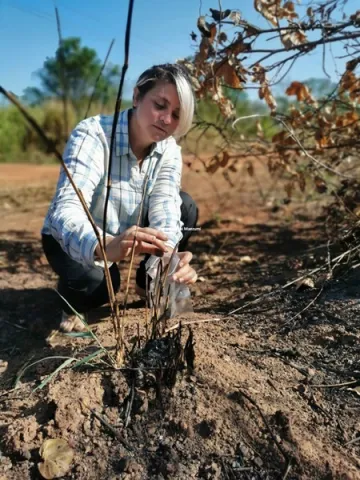 Doctor Majoi De Novaes Nascimento