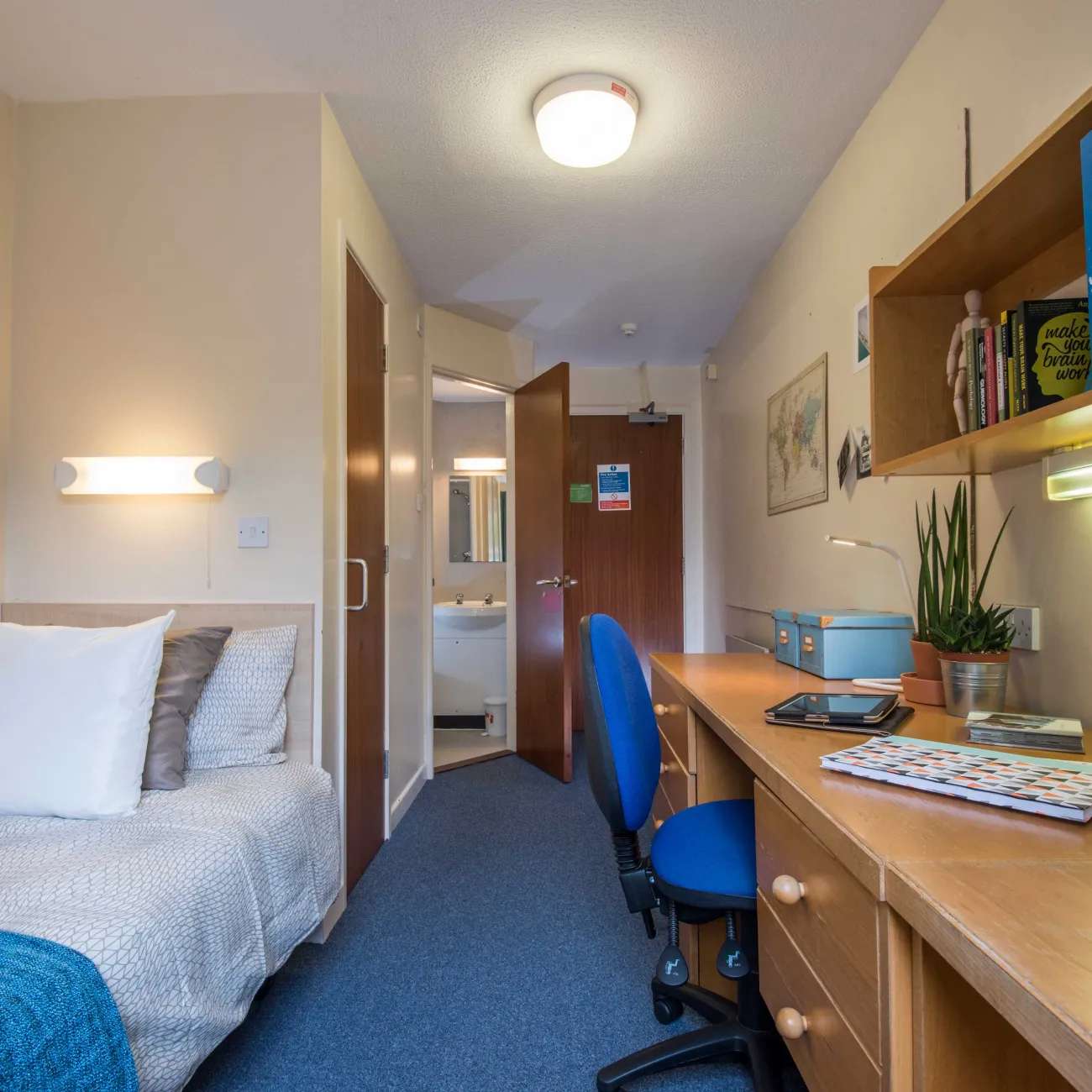 A bright, airy student bedroom with desk and single bed.