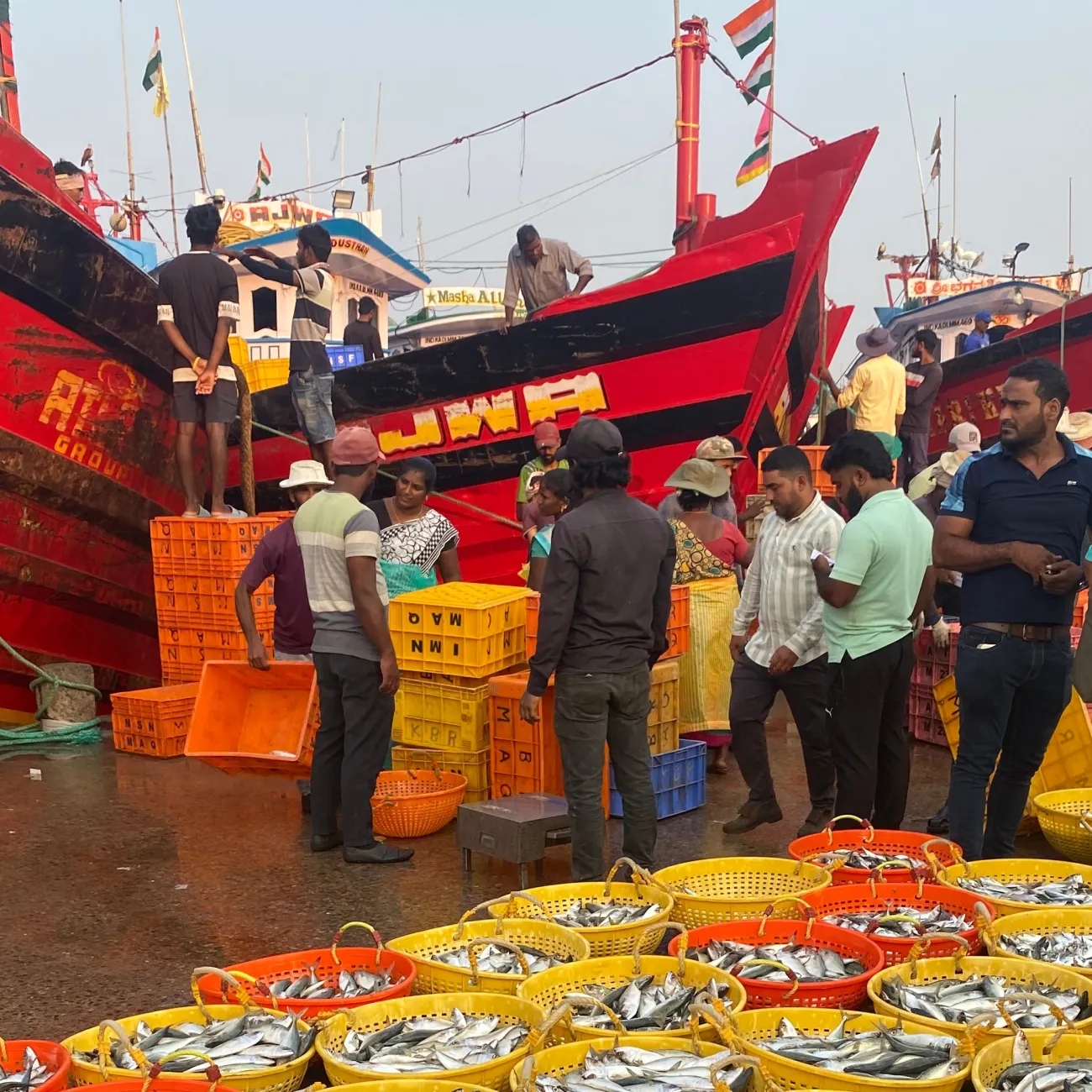 A shipping harbour in Mangalore unloading fish onto the dock. 