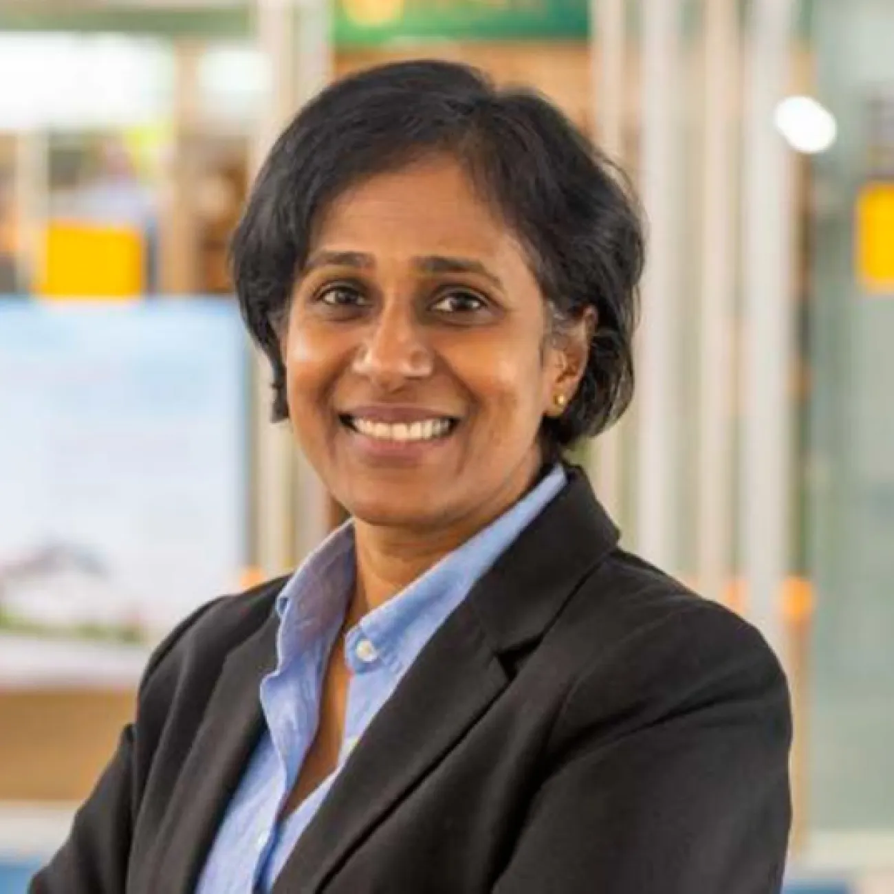 Professor Anita Ratnasingam