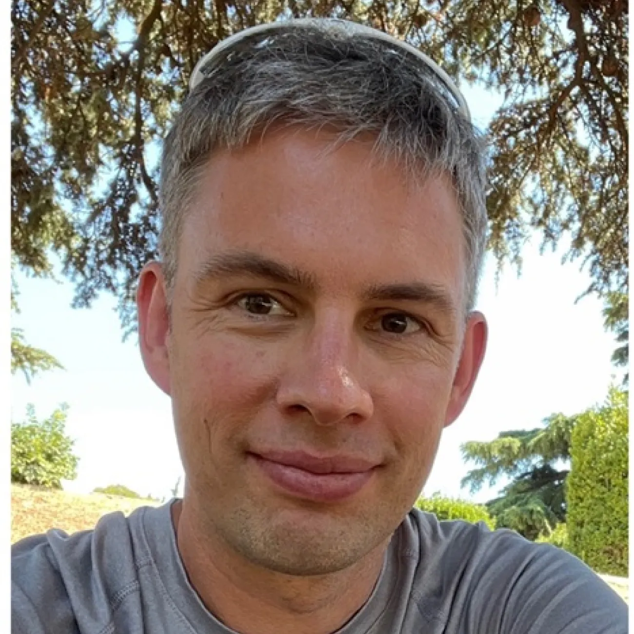 Professor Andreas Schmitt