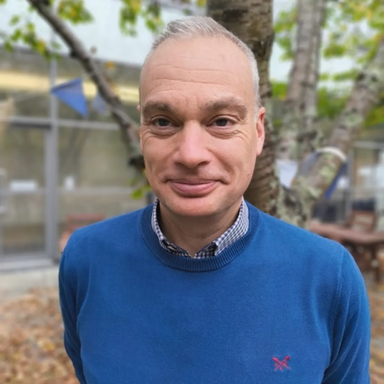 Professor David Brown