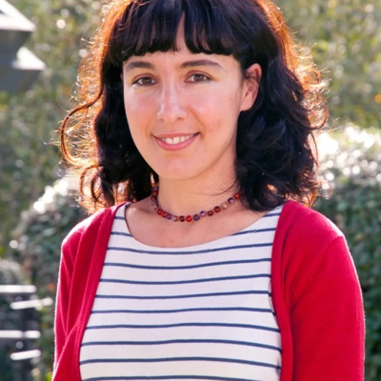 Professor Ingi Iusmen