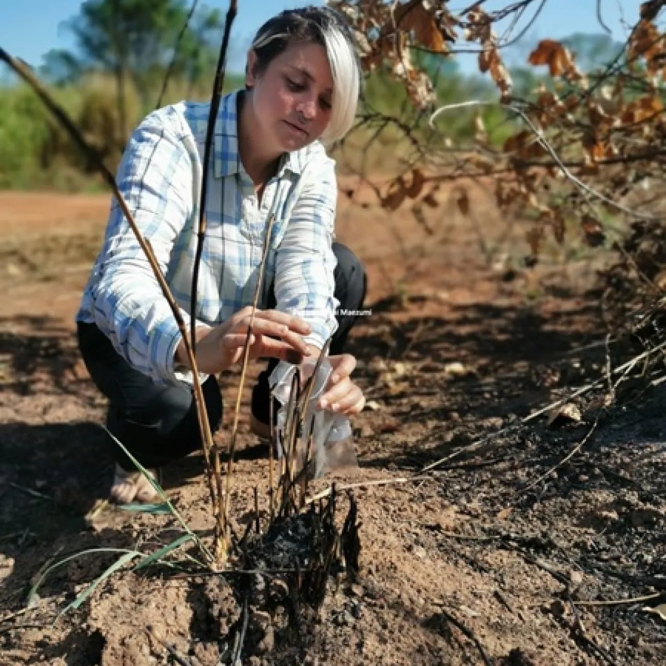 Doctor Majoi De Novaes Nascimento