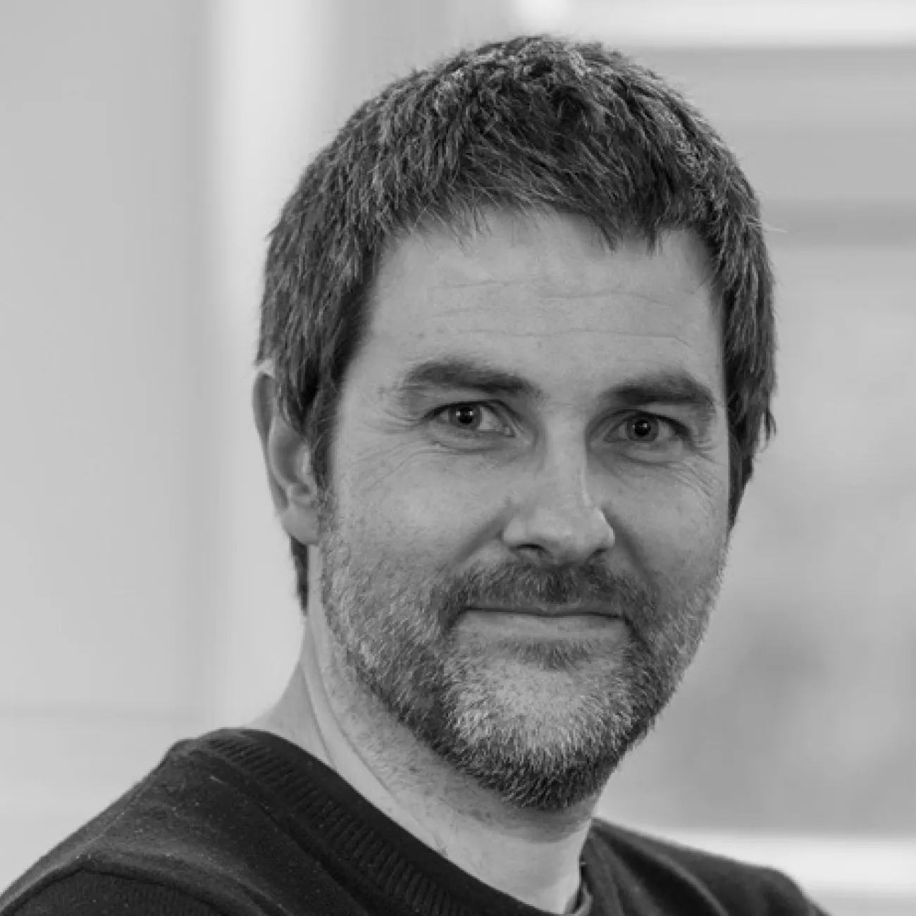 Professor Stephen Morton