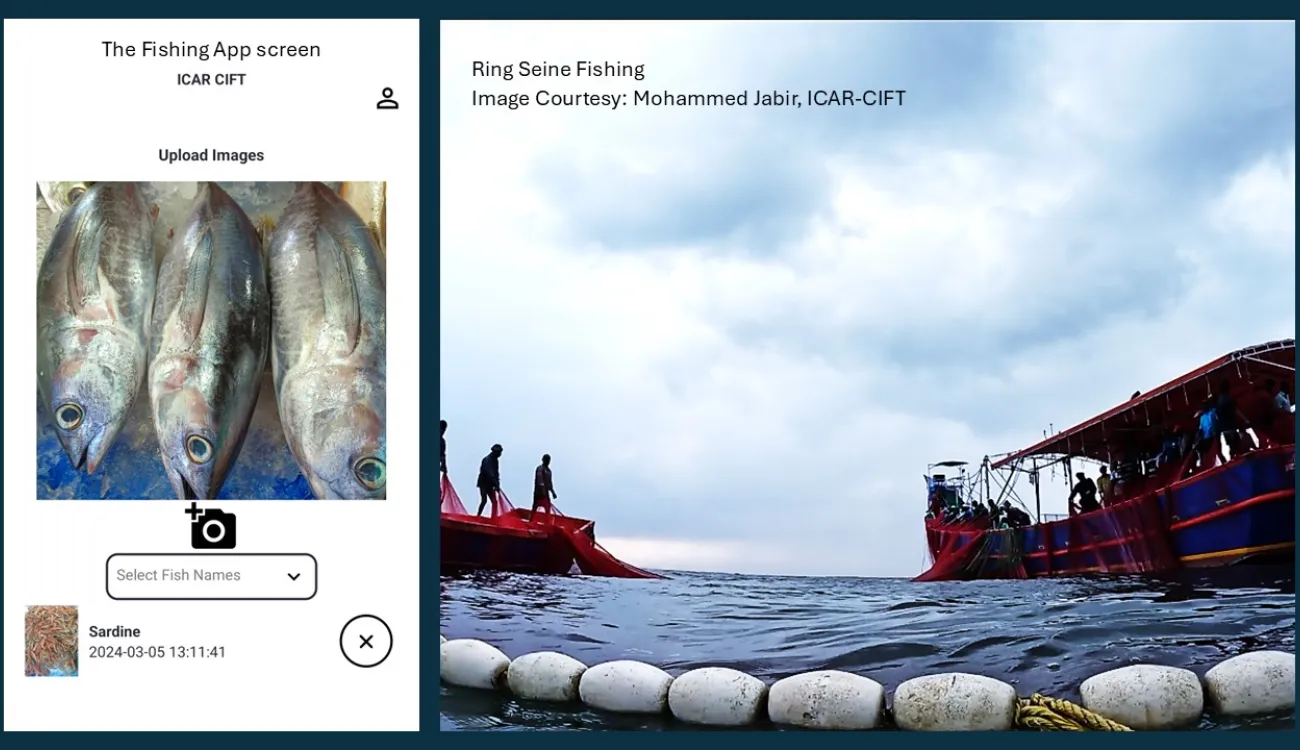 Adapting for Survival: Managing Small-Scale Fisheries for a Resilient Future
