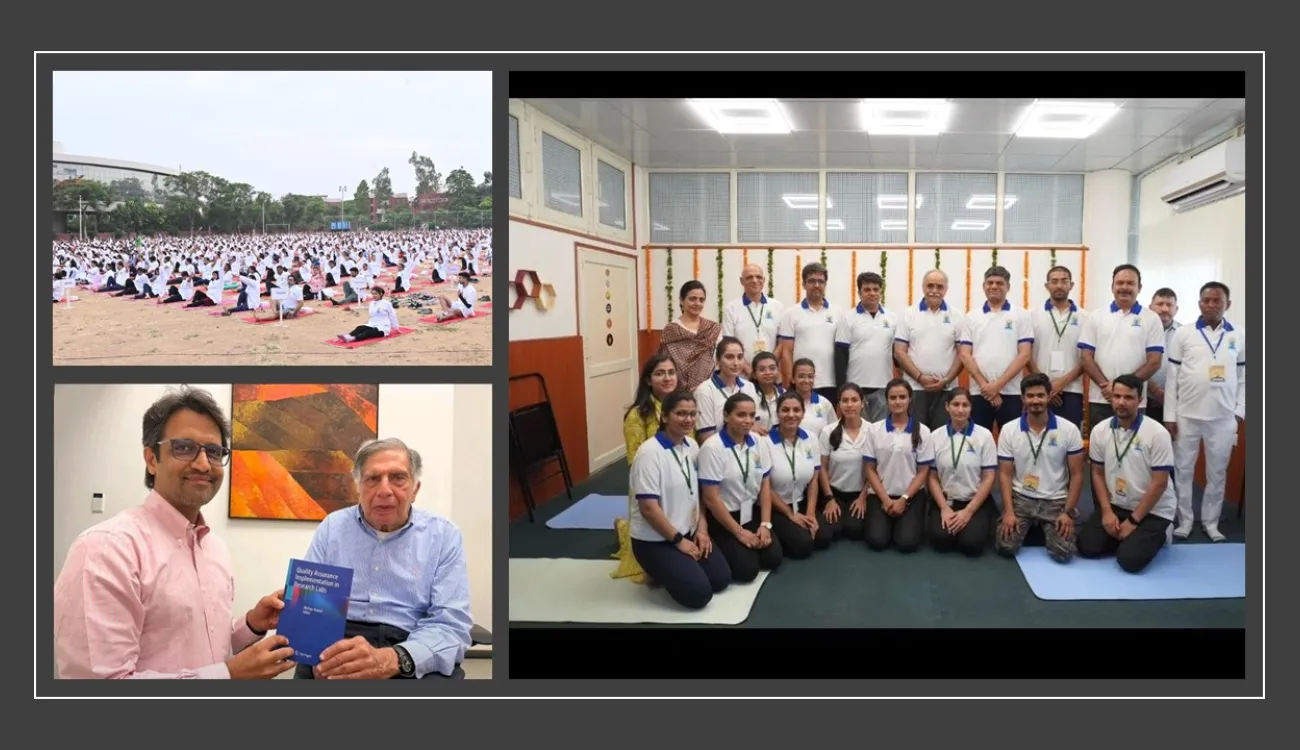 Collaged images of project