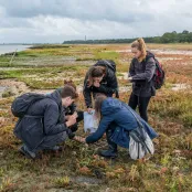 A group of students collect samples of plant life from a salt marsh on the banks of a large estuary.