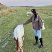 Health Psychology masters student Zhiling is stroking a New Forest pony on a track in the New Forest.